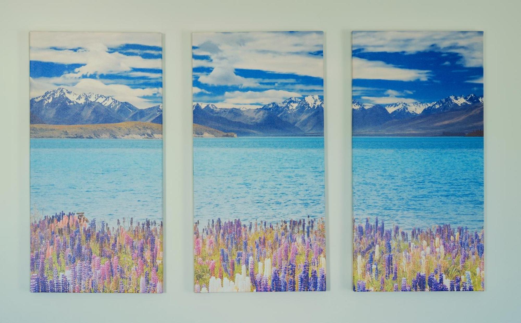 Kingfisher Lodge Lac Tekapo Chambre photo